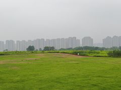 -洋湖国家湿地公园