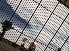 -津悦·正阳春烤鸭(红旗南路店)