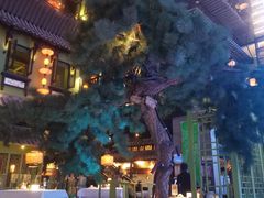 -桂满陇天书(南京德基旗舰店)