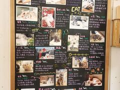-小时光咖啡馆(开森度假森林店)