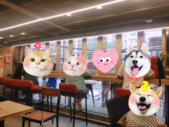 -放哈·甜醅子奶茶创造者(正宁路店)