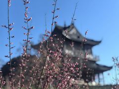 -虞山风景区