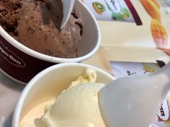 哈根达斯香草单球-哈根达斯(武汉天地店)