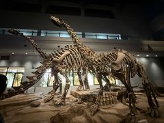 -自贡恐龙博物馆