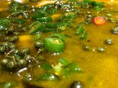 椒麻竹毛肚-安多素食(广仁寺路店)