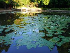 -庐山风景区花径公园