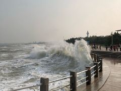 -日照灯塔风景区