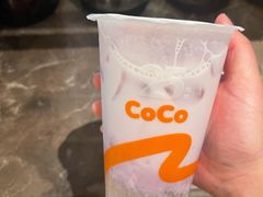 -CoCo都可(嘉定大融城店)