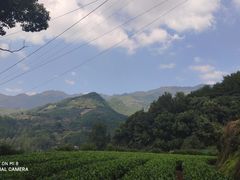 -杨家堂村