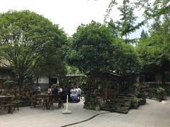 -青城甲(青城山店)