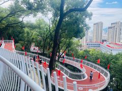 -金鸡山公园