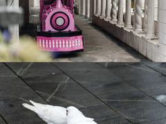 -华谊兄弟（长沙）电影小镇