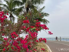 -北海市海滨公园