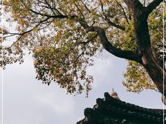 -韩湘水博园