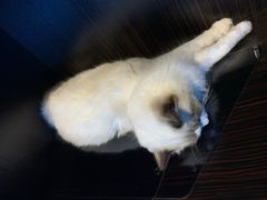 -零纪元VR体验馆·桌游(黄浦店)