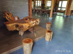 -合肥滨湖国家森林公园