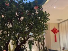-悦海·家宴·冰花皮皮虾大锅贴(宝龙店)