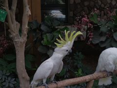 -南宫五洲植物乐园