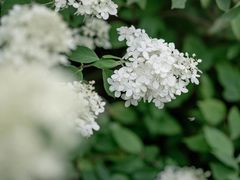 -上海滨江森林公园