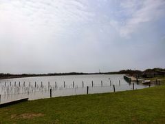 -东滩湿地公园观海楼餐厅