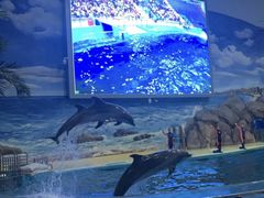 -福州罗源湾海洋世界旅游区