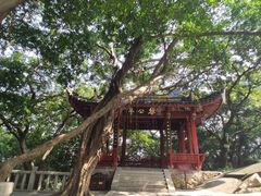 -乌山风景区