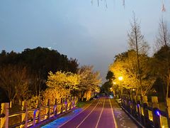 -贡湖湾湿地公园