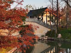 -江心屿景区