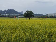 -光明小镇欢乐田园