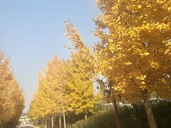 -意大利农场度假村