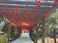 -白马涧龙池景区