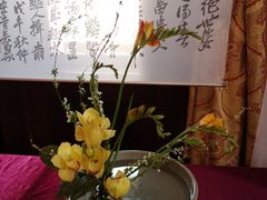 -青岛德国总督楼旧址博物馆