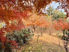 -宝界山林公园