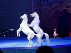 -珠海横琴长隆《卡卡虎奇遇记》