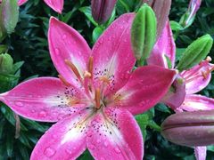 iphone_upload_pic-蠡湖中央公园