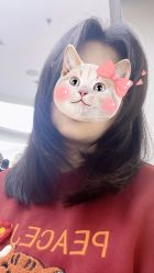 -COSMO PRO造型