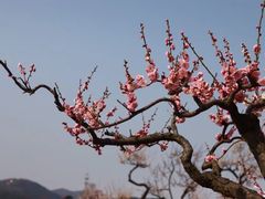 -光福景区