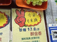 -马陆小张葡萄园农家乐