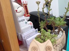 -宠福鑫动物医院(望京分院)