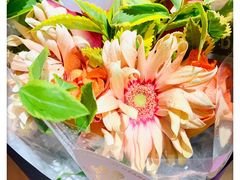 -BEAST野兽派(上海浦东嘉里城店)