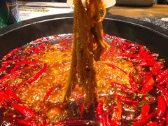 -蜀大侠火锅(建设路第五大道店)