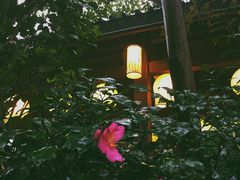 -杭州第一世界大酒店·云曼温泉