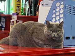 -KingBull私教健身&格斗订制(龙井商业中心店)