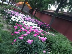景点-景山公园