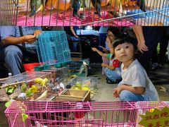 -中环花鸟鱼虫市场