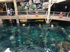 -长鹿旅游休博园