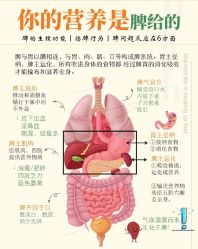 点击看大图 -慈蕊美容养生·专业经络调理