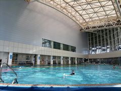 -广西体育中心-游泳馆