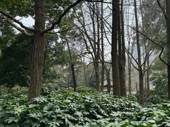 -中山公园