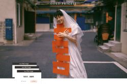 -金公主婚纱摄影(和平店)
